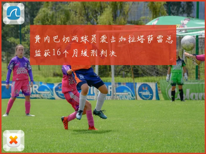 费内巴切两球员袭击加拉塔萨雷总监获16个月缓刑判决