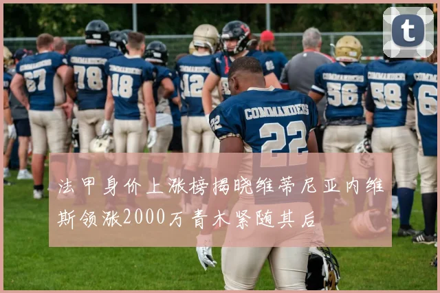 法甲身价上涨榜揭晓维蒂尼亚内维斯领涨2000万青木紧随其后